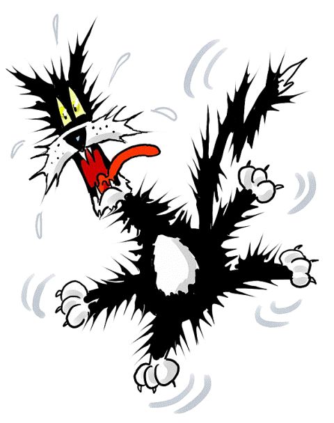 clipart scared cat - photo #23